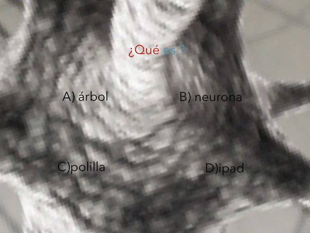 Science by Flor Lopez