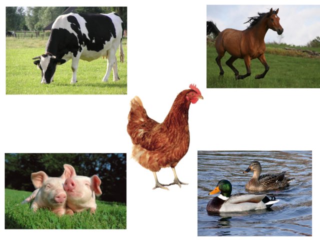 Engels Boerderij by Anyssa van de Goor