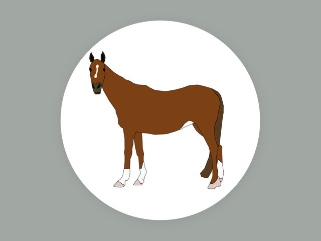 Direction Following For Vocabulary Word “horse.” by Seana Evelyn