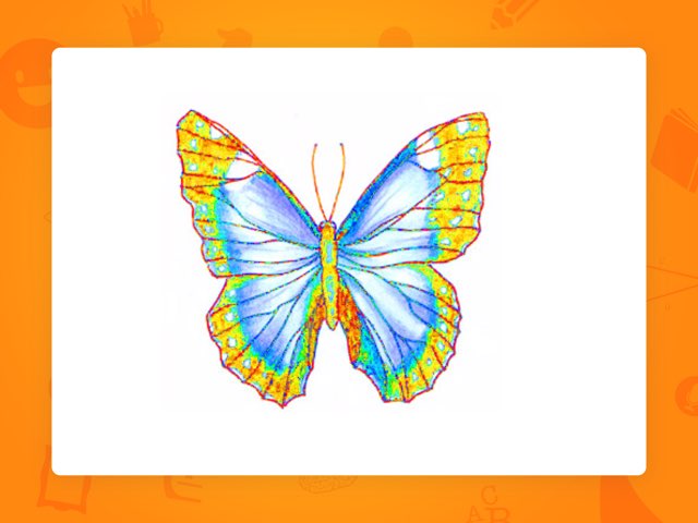 הכנת פרפר by Jenia Koifman