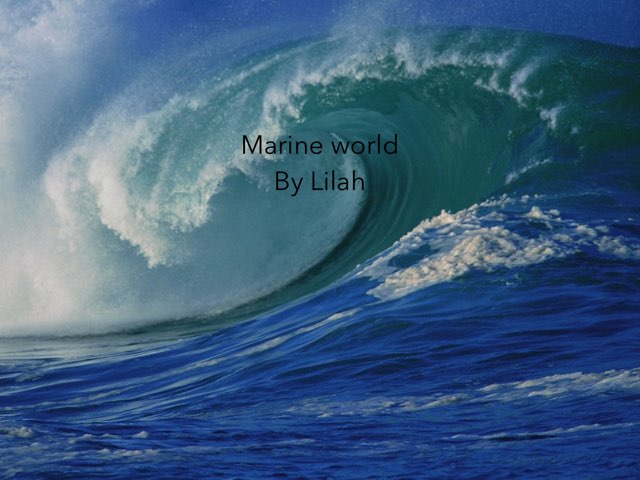 Ocean By Lilah by Morah Alex