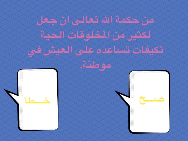 لعبة 6 by Zezd Fahad