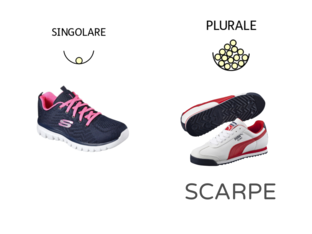 DAL PLURALE AL SINGOLARE by Carla Del Conte
