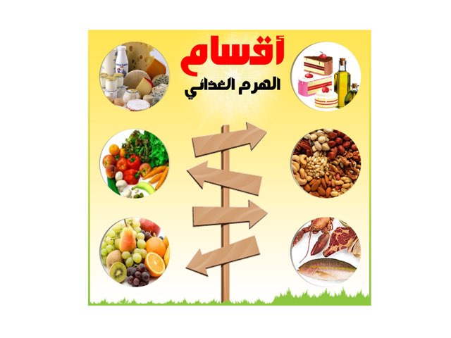 أقسام الهرم الغذائي٢ by Rooz Sweet