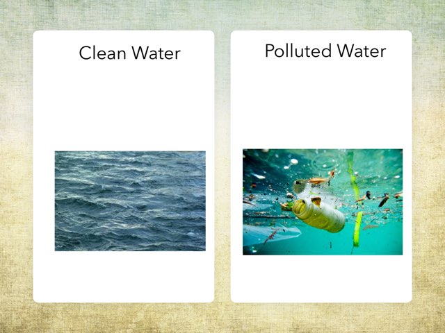 Environmental Issues by Jillian Tomlinson