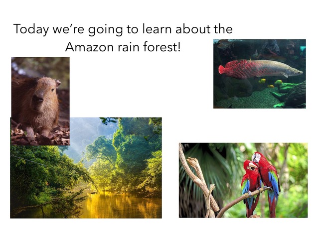 Learn All About The Amazon  by Juan