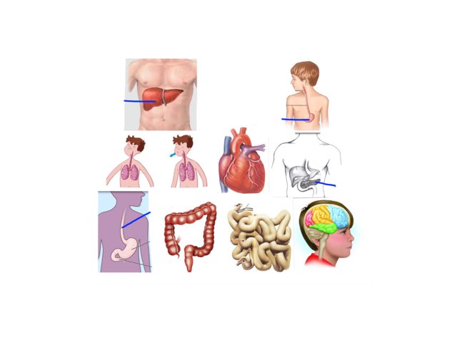 DIE by Carmen Frontera Herrero