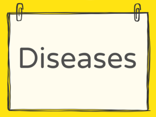 DISEASES by fatimah tofif