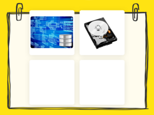 Database by Francesca Di Bari
