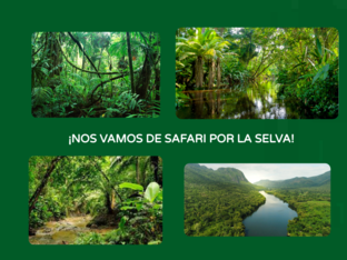 ¡De safari por la selva! by Rocío Párraga de la Fuente