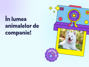 Descoperă Animalele de Companie by Lavinia