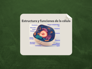 Descubre el mundo de las células by 