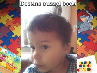 Destins Puzzel Boek by Koji Walter-vrolijk