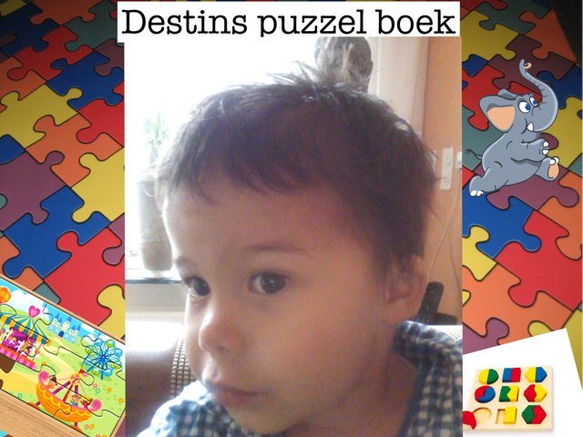 Destins Puzzel Boek by Koji Walter-vrolijk