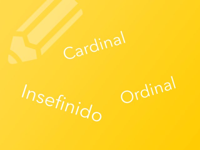 Determinantes numerales by Llucia Bergas Garcia