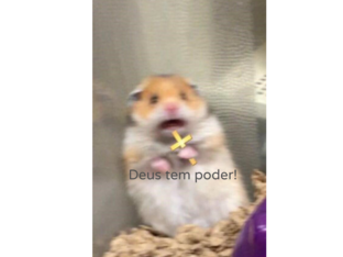 Deus tem poder by Matilde Domingos
