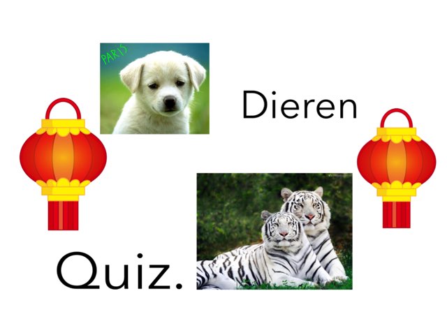 Dieren Quiz by Lona Van klaps