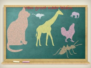 Dieren Weetjes by Alexander Van Boven