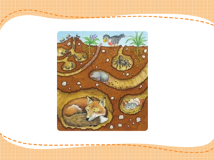 Dieren onder de grond by Rina Blockx