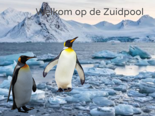 Dieren tellen op de Noord en Zuidpool  by Emilie Rietman