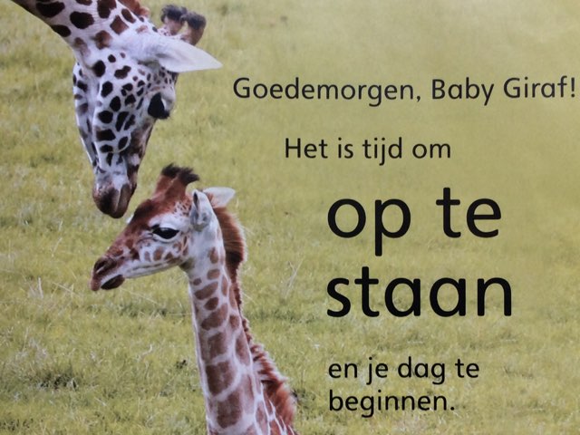 Digitaal Prentenboek: Baby Dieren, De Giraf by Ilse Brendel