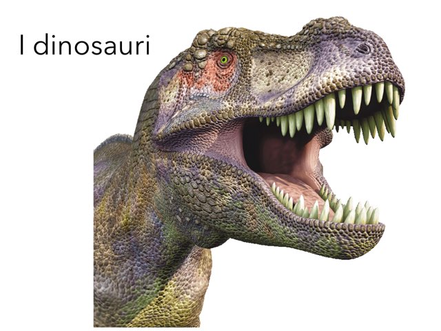 Dinosauri by Paola Mattioli