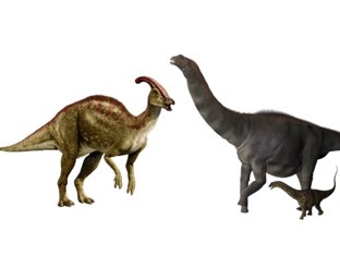 Dinossaurow by Manuela !onteiro