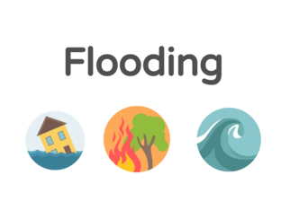 Disaster by Ilyas Awaeni