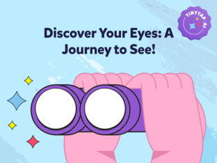 Discover Your Eyes by Teacher Eri