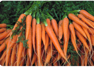 Dārzeņi.Pirmā skaņa. by Anda Paipala