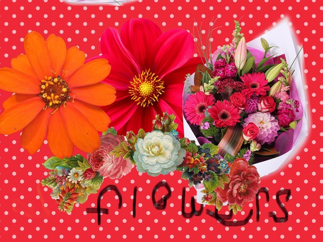 Flowers by Nancy Alomari