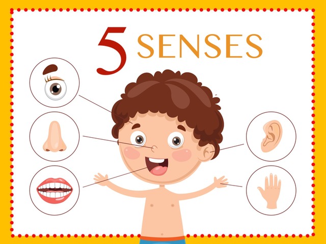 Five Senses Activities Free Games | Activities | Puzzles | Online for