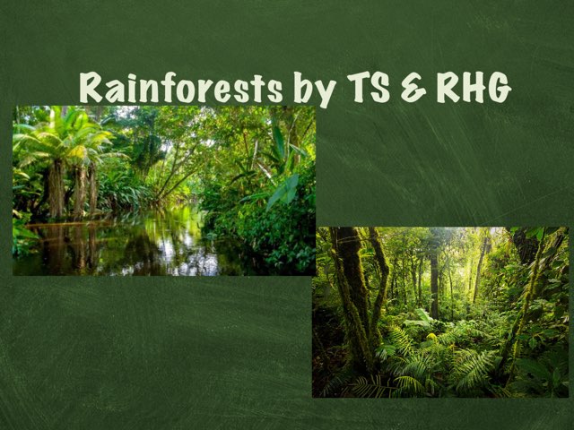 Rainforests By TS And RHG by Holy Spirit