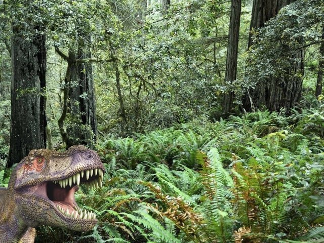 Spel7 by Lotte Straten