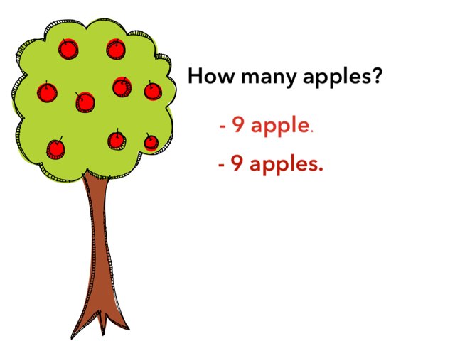 Plural by Asma Hasan