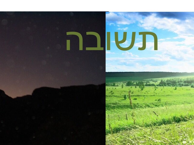 תשובות נכונות  בריאת השמייםבראשית by Brit Zilberman