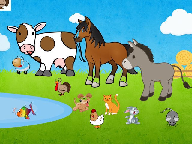 E2-Up-U2-Animals by Sarah Goingamish