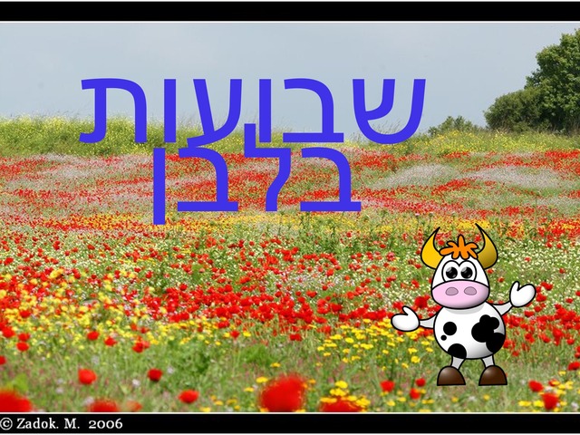 שבועות בלבן by ליאת בן ששון