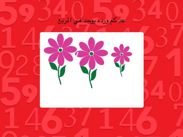 عد وتذكّر by Rasha Mresat