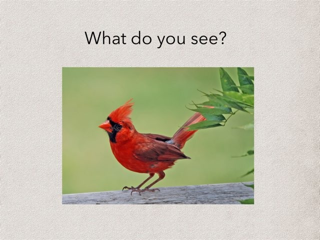 Brown Bear Game Free Games online for kids in Preschool by Tyler Heckathorn