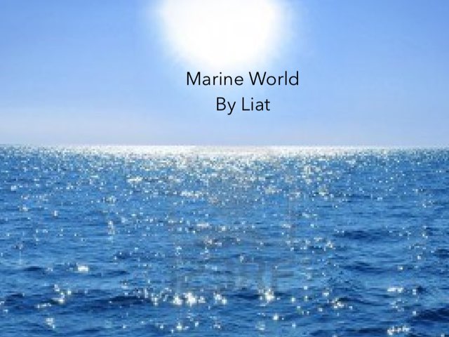 Ocean By Liat by Morah Alex