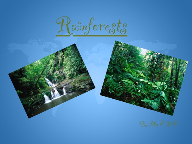 Rainforests by Holy Spirit