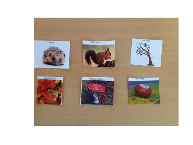 Herfst by Ariane Ranitz