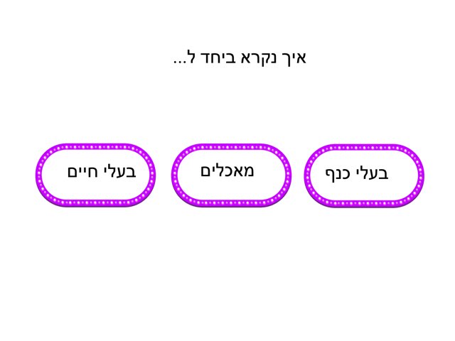הכללה by יותם מור יוסף