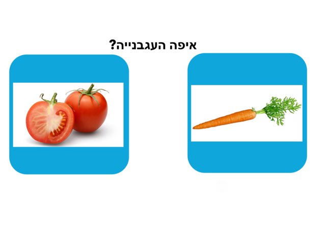פירות וירקות by מיכל יצחקוב