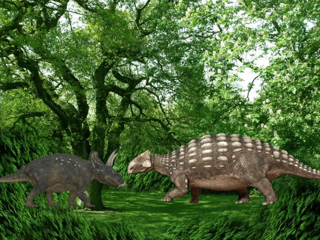 Puzzle by Pascual Hernandez