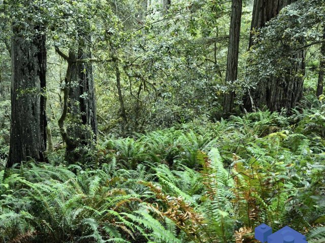 Find It by Tiara Southard