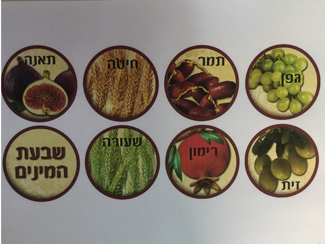 שבעת המינים by תאיר שמיר