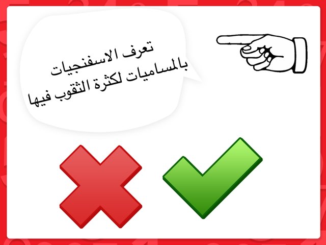 الصف العاشر by mariam yousef