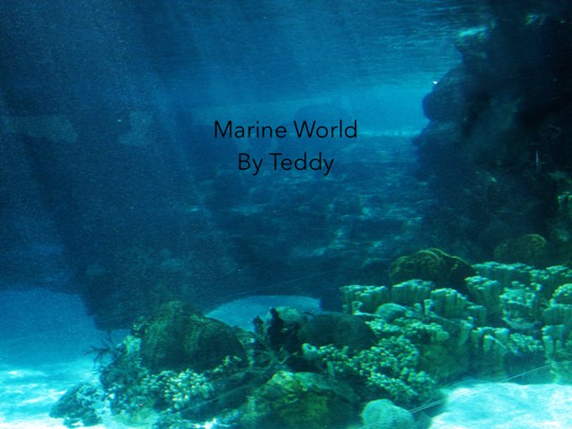Ocean By Teddy by Morah Alex